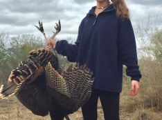 Turkey Hunting